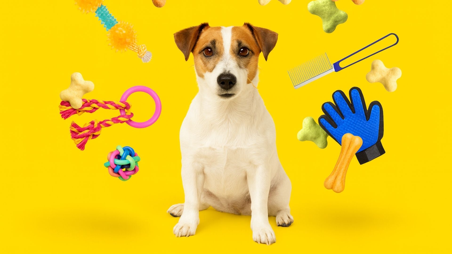 Pet supplies