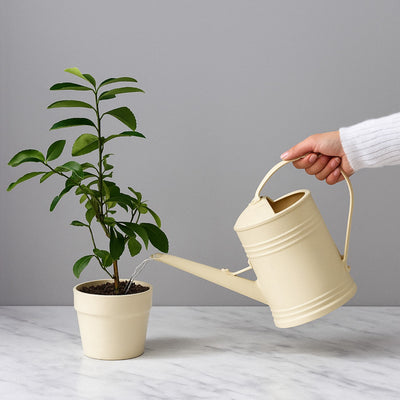 2L Long Spout Watering Can – Plastic Plant Sprinkler for Indoor & Outdoor Flower Gardening